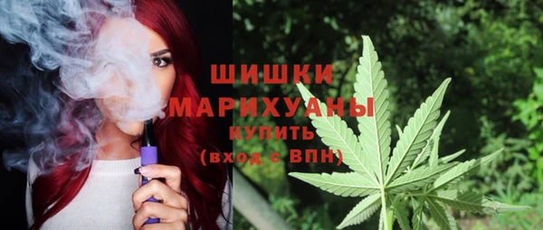 ГАЛЛЮЦИНОГЕННЫЕ ГРИБЫ Новодвинск