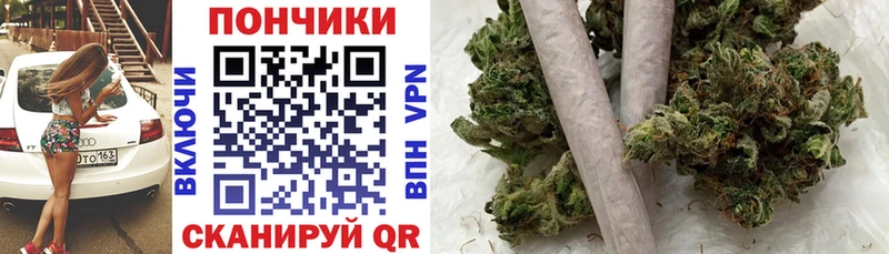 Марихуана конопля  mega маркетплейс  Торжок 